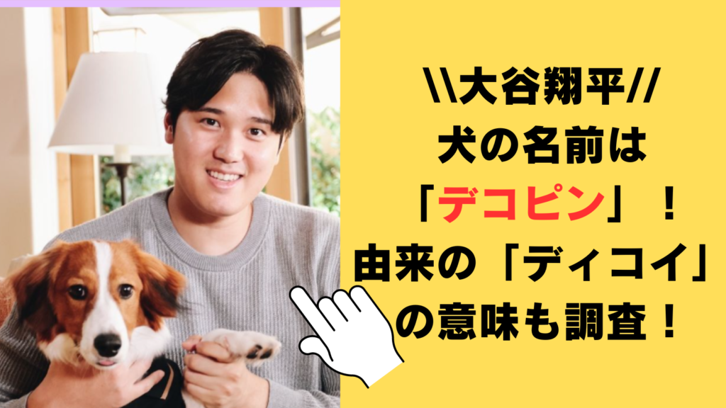 【動画】大谷翔平の犬の名前は「デコピン」！由来の「デコイ」の意味も調査！