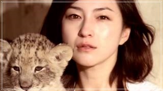 広末涼子　TIBAKI　CM