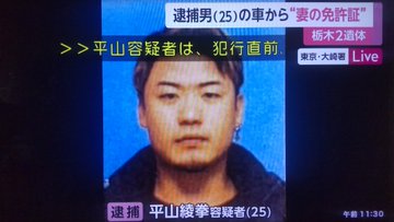 平山綾拳容疑者